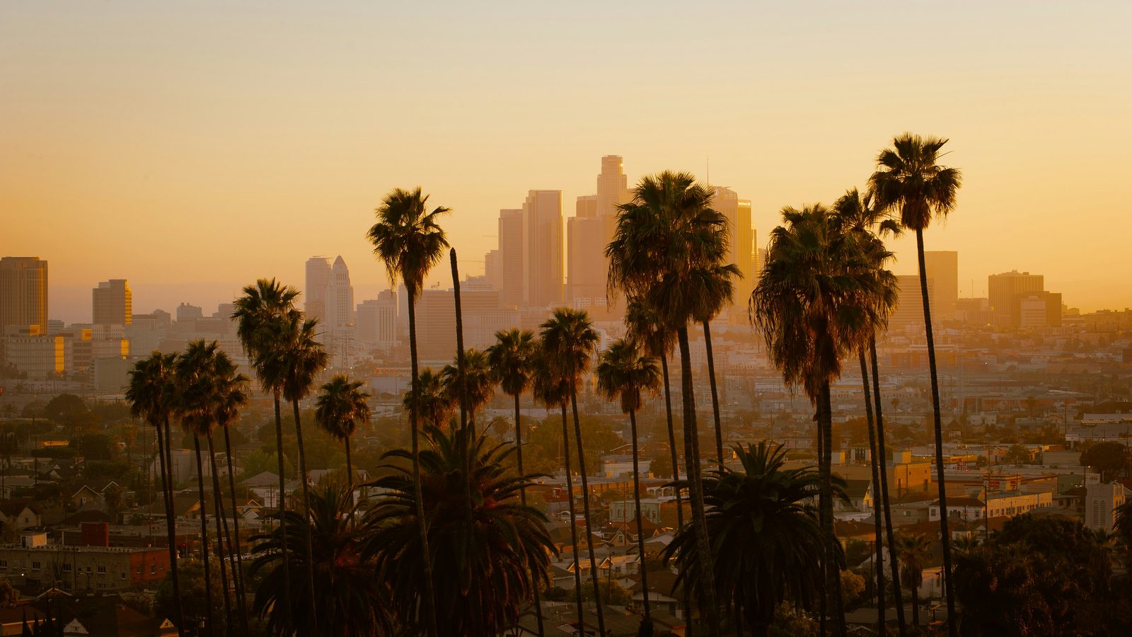 What We Look for When Expanding Into a New Market